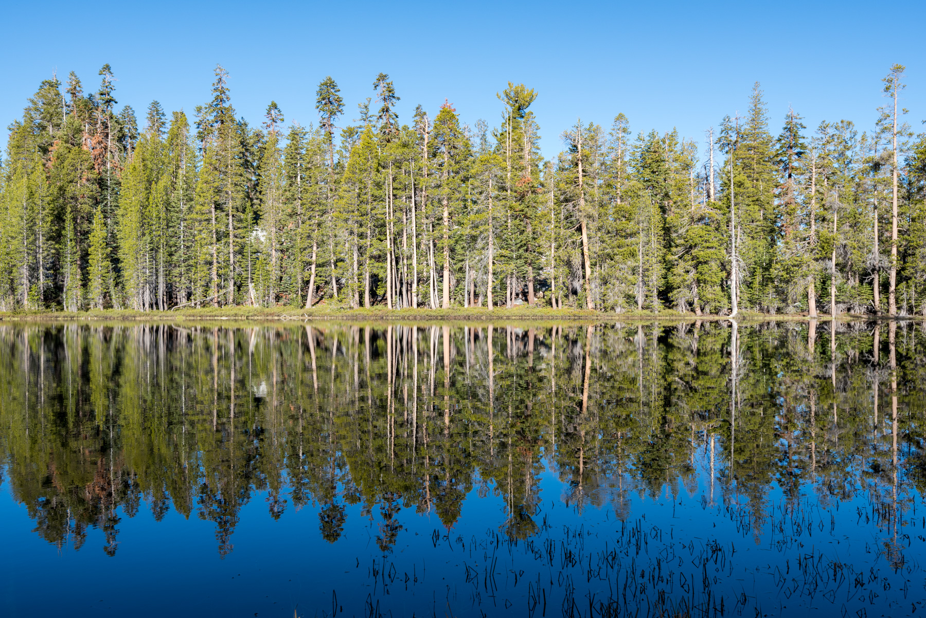 Siesta Lake